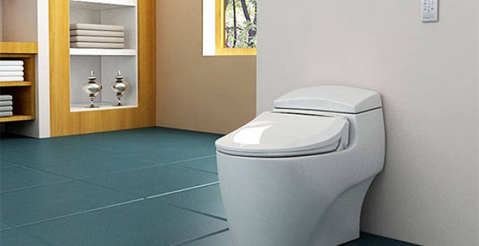 How Much Does It Cost To Install A Bidet?