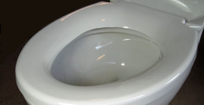 What Is A French Curve Toilet Seat